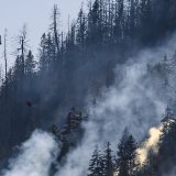 Les pompiers valaisans ont pu compter sur les soutiens de leurs collègues d'autres cantons dans leur lutte contre l'incendie qui sévit au-dessus de Bitsch (archives).